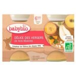 BABYBIO – Pots Des Délices Des Vergers De Nos Régions 6mois+ Bio – 2x – 130g