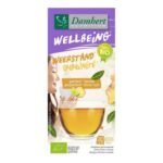 DAMHERT WELLBEING IMMUNITE GINGEMBRE CITRON VERT 20 SACHETS
