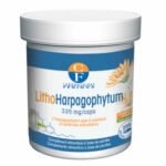 FENIOUX – Lithoharpagophytum 335mg Santé Des Articulations – 90 Gélules