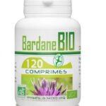 GPH DIFFUSION – BARDANE BIO 400 MG 120 Comprimés