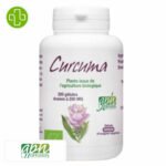 GPH DIFFUSION – Curcuma 250mg – 200 Gélules