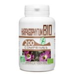GPH DIFFUSION – Harpagophytum Bio 200 comprimés