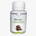 HEALTH POWER – Shilajit Bio – 60 Gélules