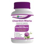 NUTRILAB – Extrait Chardon-marie Extra Fort 50% Silymarine Harmonie De L’organisme – 60 Gélules