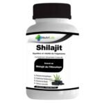 NUTRILAB – Shilajit Equilibre Et Vitalité De L’organisme – 60 Gélules
