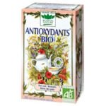ROMON NATURE – Tisane Antioxydants Thé Vert, Romarin Et Reine Des Prés Sachets Bio – 20u