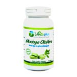 VERTUPLUS – Moringa Oleifera 100gelules