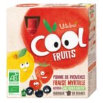 VITABIO – Cool Fruits Pomme De Provence Fraise, Myrtille Et Acérola Bio – 4x – 90g